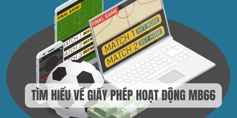 Tìm hiểu về giấy phép hoạt động MB66